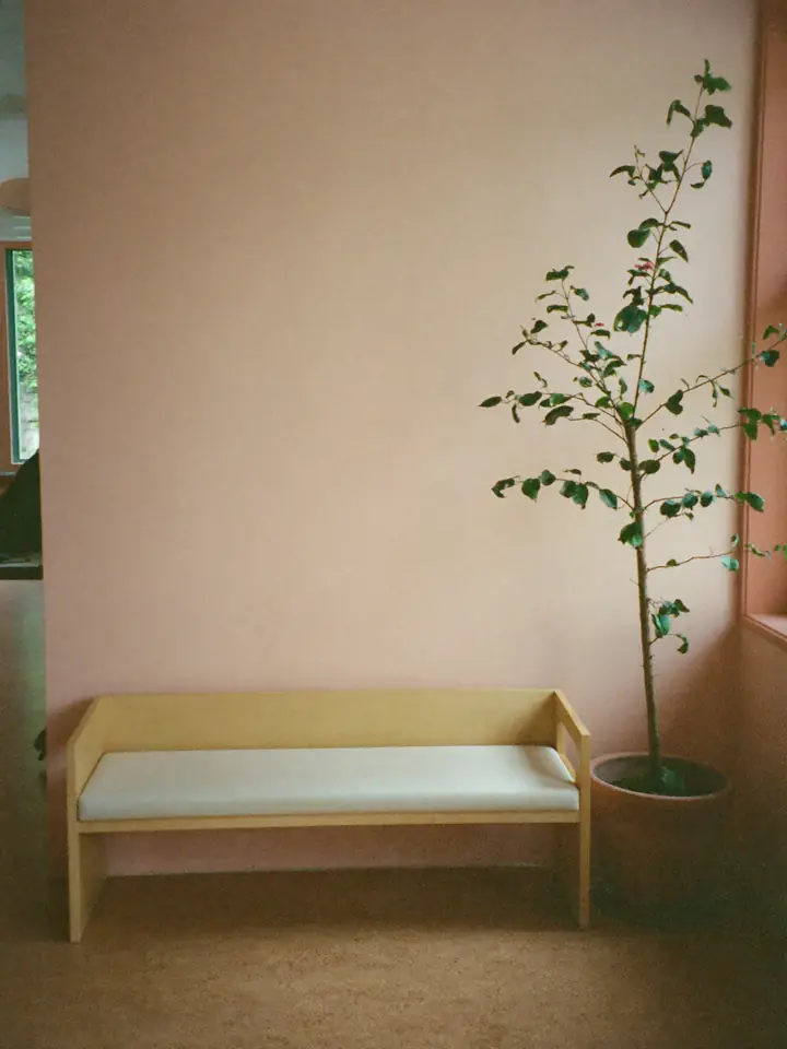 A pale ash bench with a linen cushion under three round wooden coat hooks on a soft apricot wall, with a tall olive tree and a frosted glass door letting in daylight